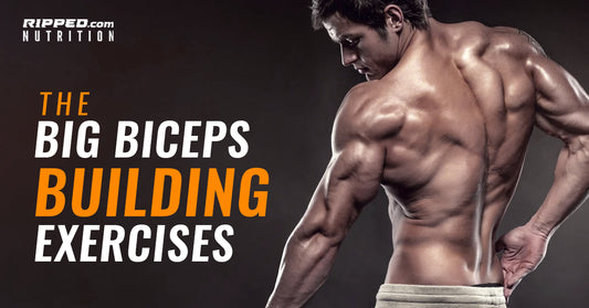 The Big Bicep Building Exercises