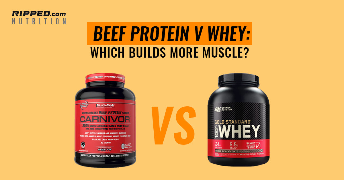 Beef Protein vs Whey: Which Builds More Muscle?