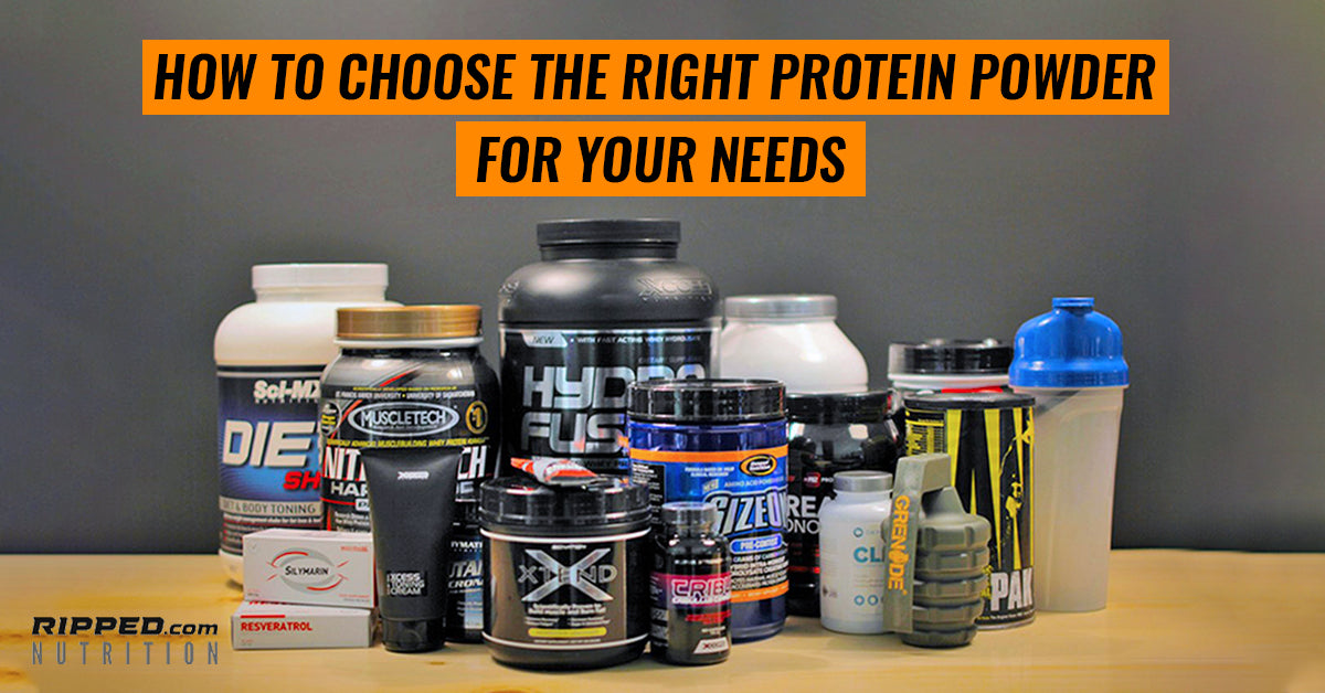 How to Choose The Right Protein Powder For Your Needs