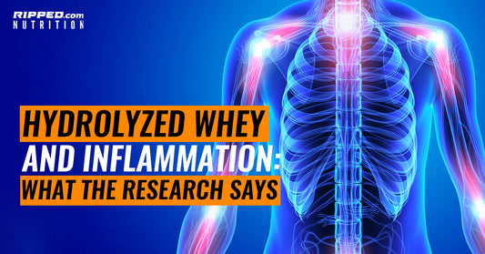 Hydrolyzed Whey and Inflammation: What the Research Says