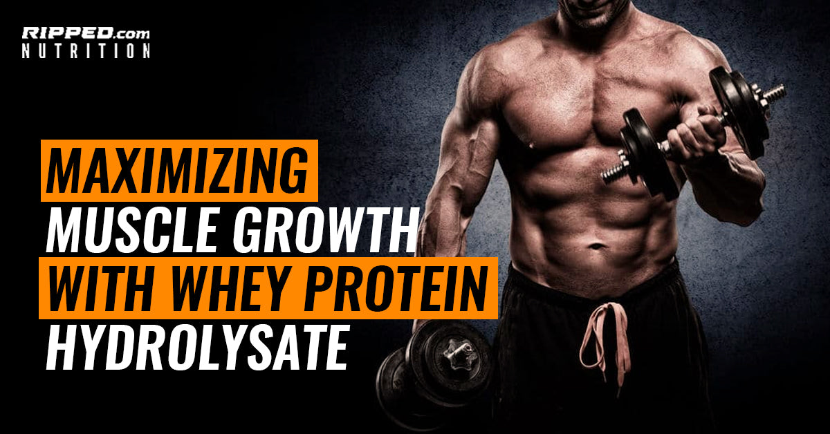 Maximizing Muscle Growth With Whey Protein Hydrolysate