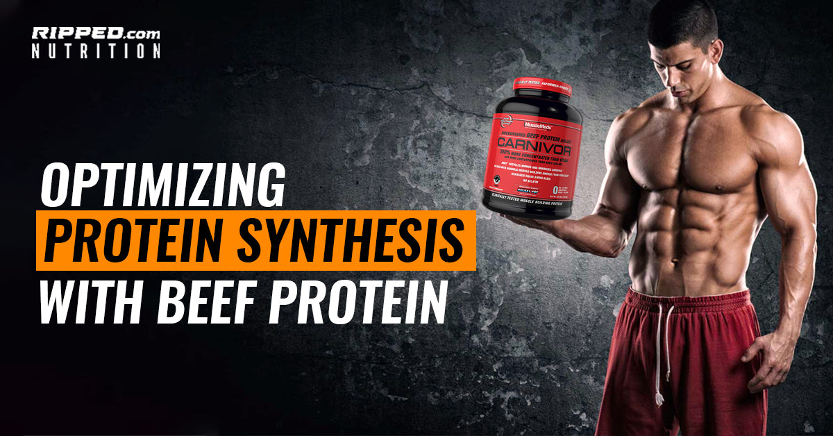 Optimizing Protein Synthesis with Beef Protein