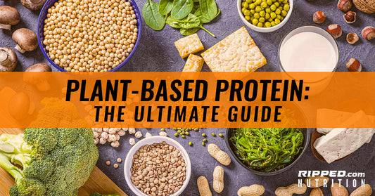 Plant-Based Protein: The Ultimate Guide