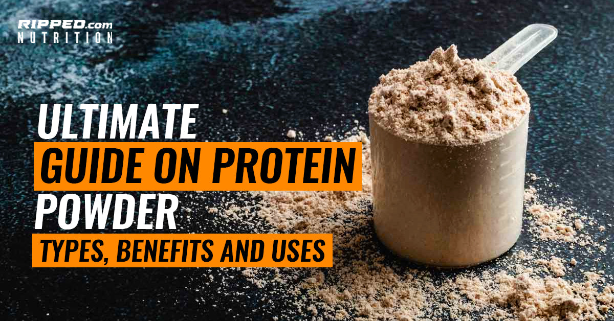 Best Protein Powder Types, Benefits and Uses