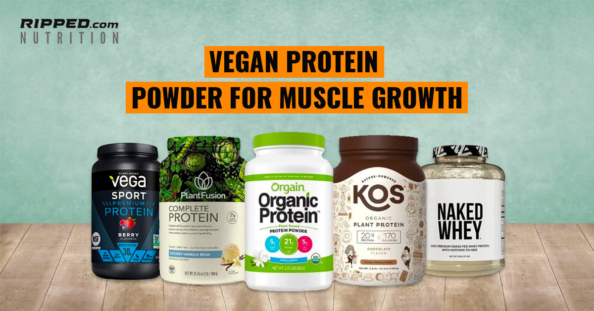 How Vegan Protein Powder Supports Muscle Growth