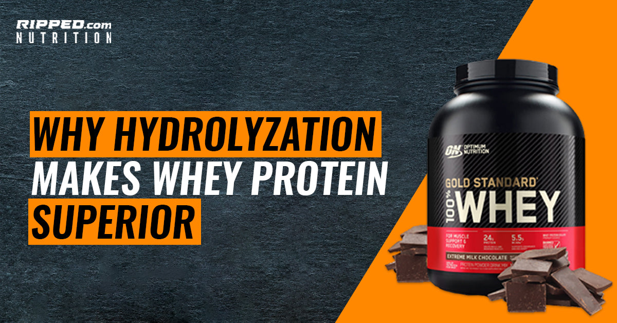 Why Hydrolyzation Makes Whey Protein Superior